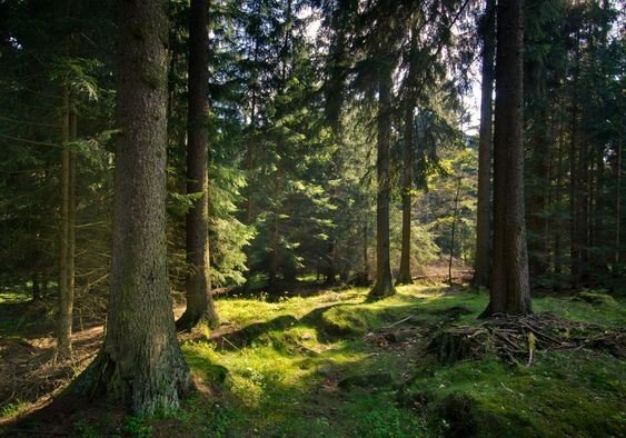 5bcb3e9f F094 47c9 9411 E56f2060e3aa