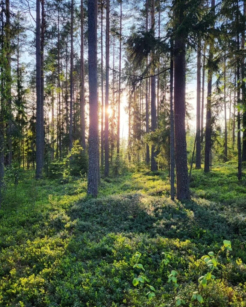 7a7cc1d6 A457 4c49 99a5 1ccb522cfef6 819x1024